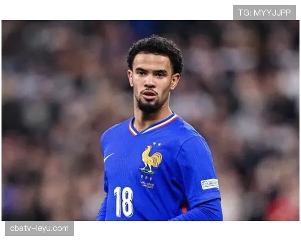 扎伊尔埃梅里技术特点