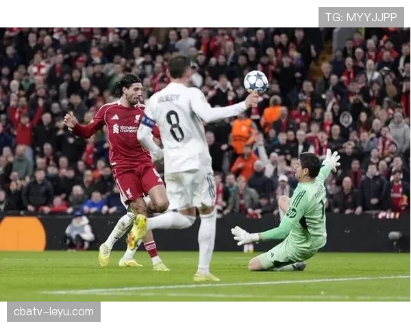 库尔图瓦与阿利松：门线扑救与出球组织风格对比